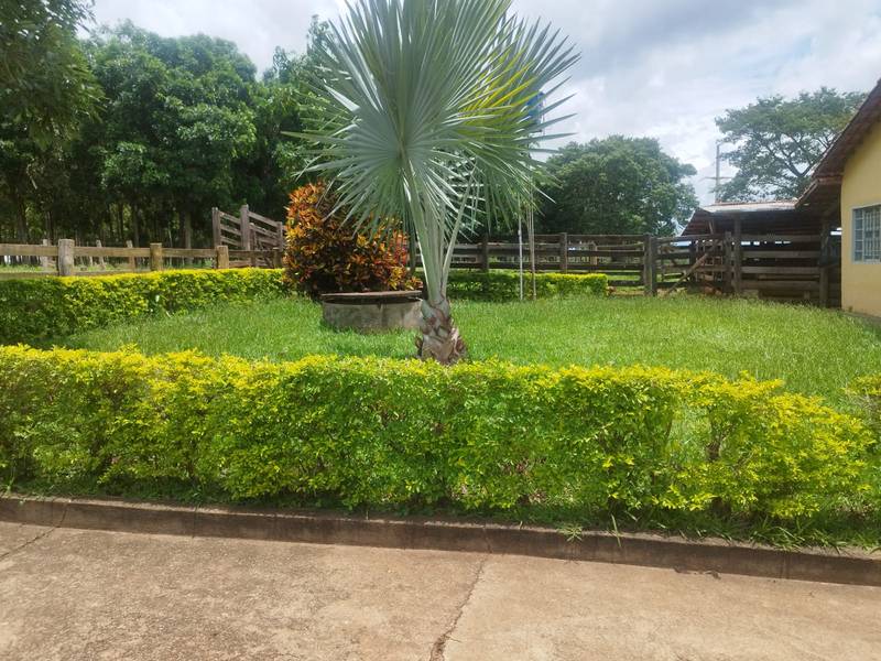 VENDO CH�CARA 3 ALQUEIRES - 4 KM DA GO-020 - BELA VISTA - GOI�S